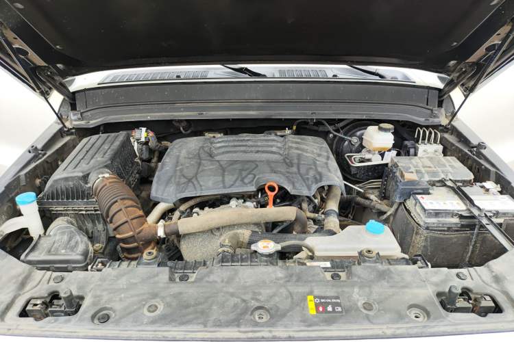 Used Tank 300 2021 City Edition 2.0T—Truly Stylish
