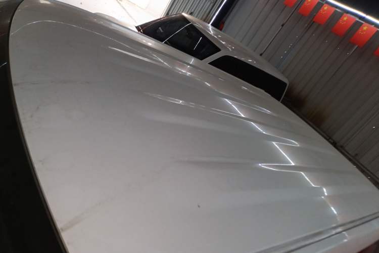 Used  Panda 2023 Panda Mini 200km Endurance Bear