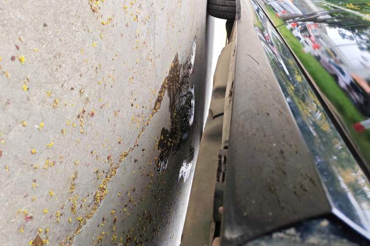 Used Mercedes-Benz M-Class 2014 ML 320 4MATIC
