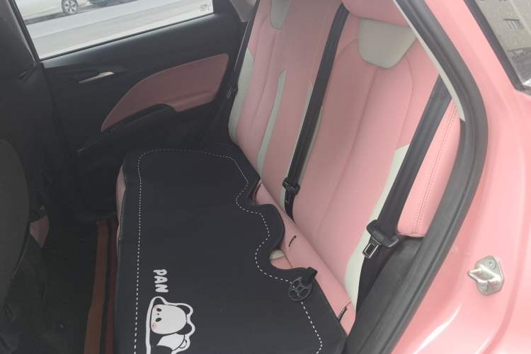 Used NETA V 2022 Chao 400 Lite Pink Custom Edition