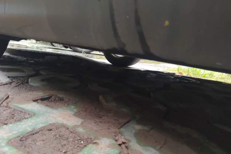 Used Ford Focus 2017 Hatchback EcoBoost 180 Automatic Elite Model
