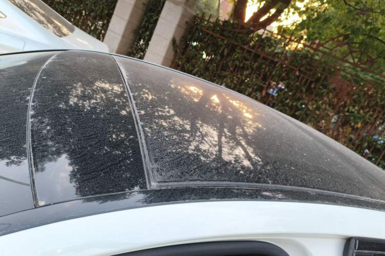 Used Mercedes-Benz C-Class 2021 C 260 L Sport Edition Star Collection
