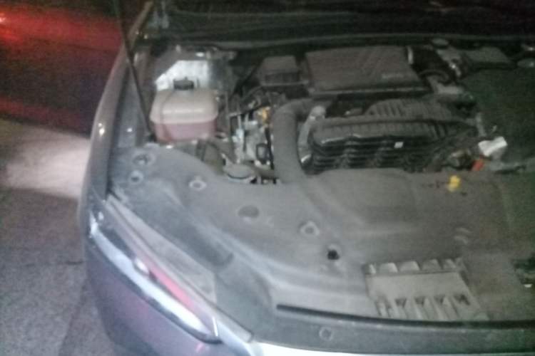 Used BYD Qin PLUS 2023 Champion Edition DM-i 120KM Leading Model