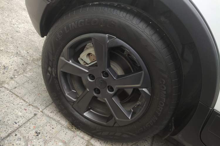 Used Geometry E Firefly 2023 401KM Linglong Tiger 5-Seater
