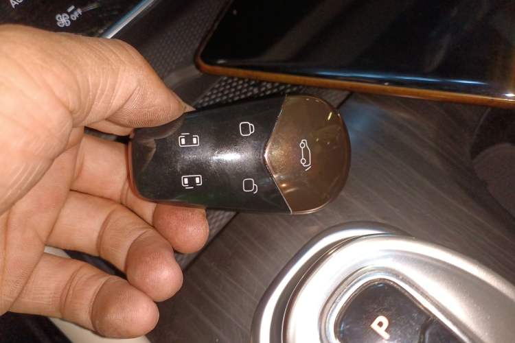 Used VOYAH Dream 2024 PHEV Ultra-Long Range Flagship Edition
