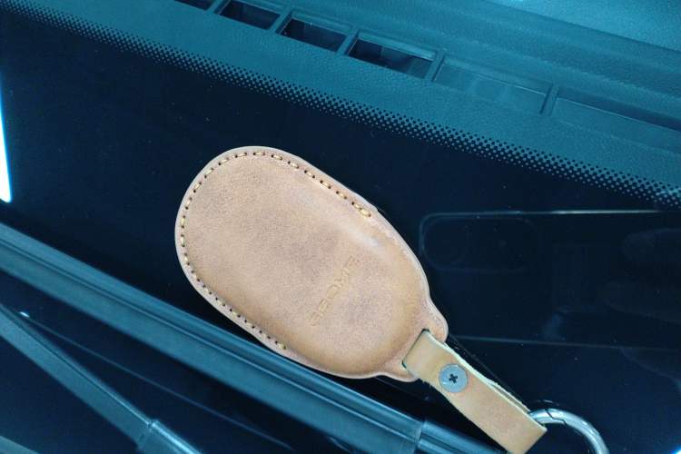 Used  Geome 2025 310km Youth Edition