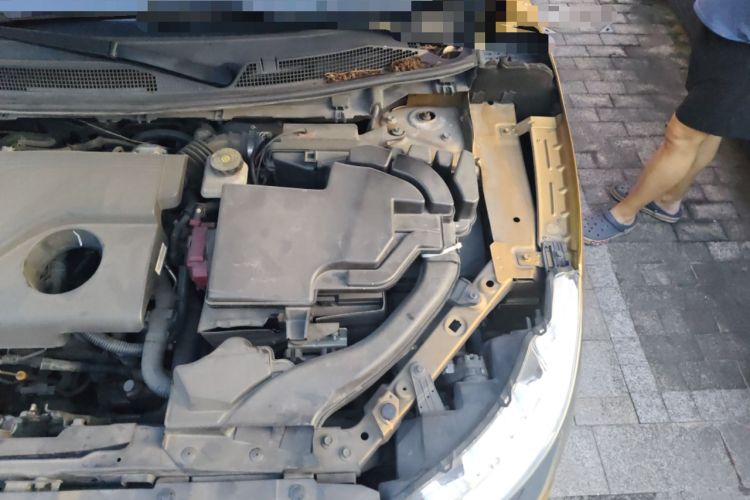 Used Nissan Qashqai 2016 2.0L CVT Elite Edition
