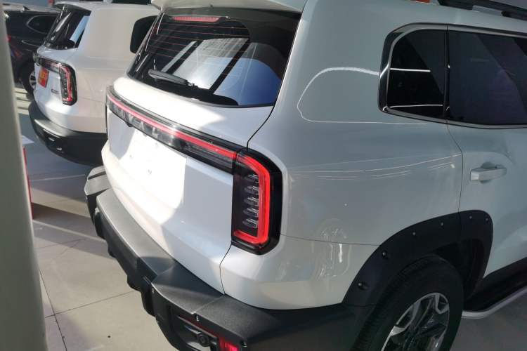 Used Haval DARGO 2024 2.0T DCT Chinese Rural Dog Edition