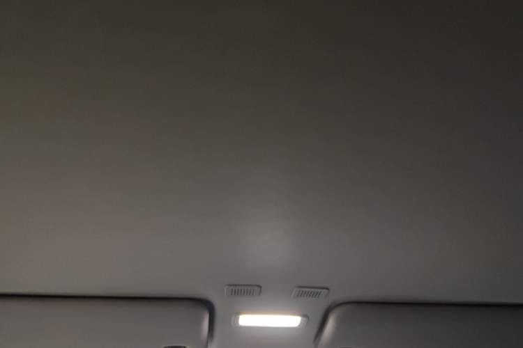 Used  Panda 2023 Panda Mini 200km Endurance Bear
