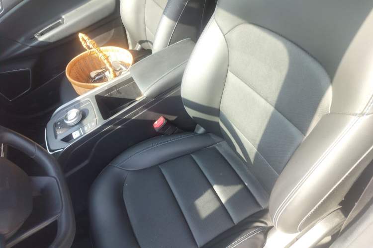 Used Livan Maple 60s 2023 Battery-Swap Happiness Custom Edition Lithium NMC