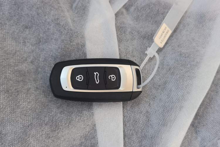 Used  Panda 2024 Panda Mini 200km Endurance Bear
