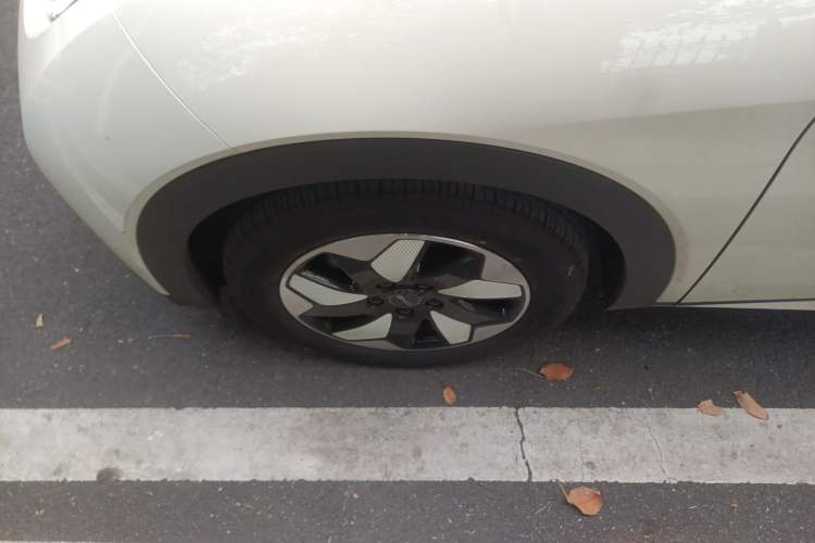 Used BYD Dolphin 2025 420km Free Edition