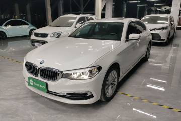 Used BMW 5 Series 2019 530Li Leading Model Luxury Package
