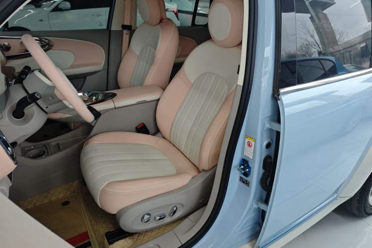 Used ORA Ballet Cat 2022 401 km Nutcracker Edition
