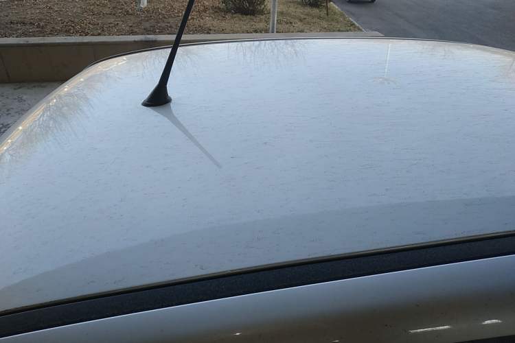 Used Bestune Pony 2025 222km Range Agile Horse