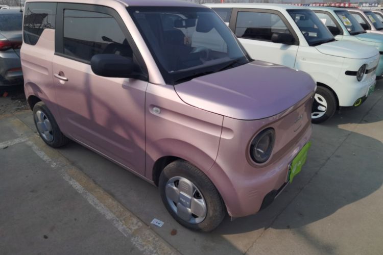 Used  Panda 2024 Panda Mini 200km Endurance Bear