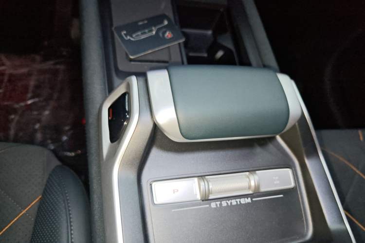 Used  G318 2025 Worry-Free Adventure Edition Four-Wheel Drive Secret Realm Version
