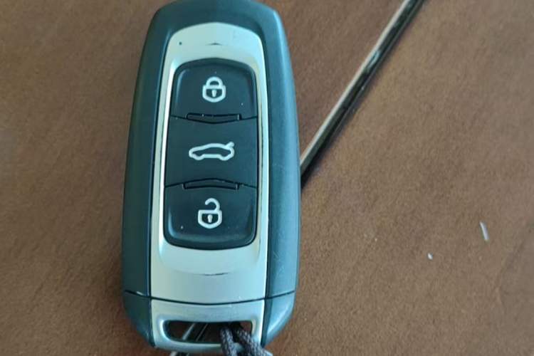 Used  Panda 2024 Panda Mini 200km Endurance Bear