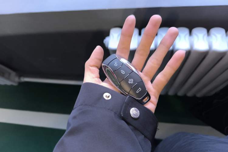 Used Hongqi HS3 PHEV 2024 PHEV 115km Jingwei Edition
