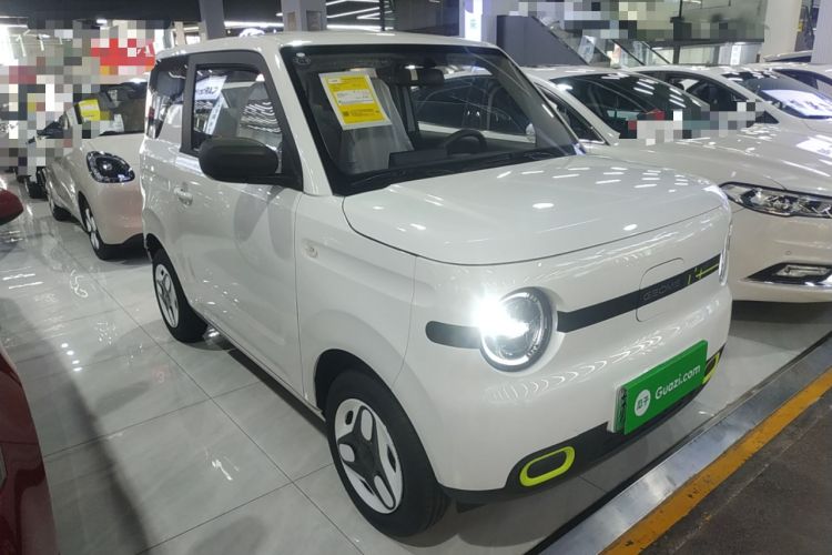Used  Panda 2025 210 km – Yuanqi Bear
