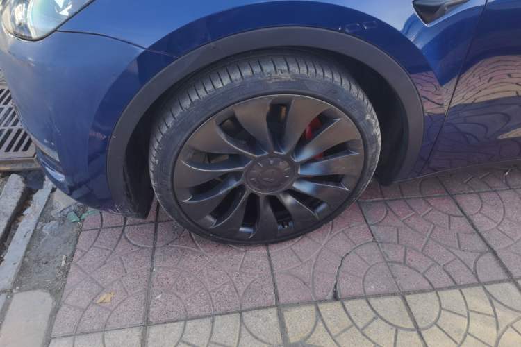 Used Tesla Model Y 2022 Performance High-Performance All-Wheel-Drive Version
