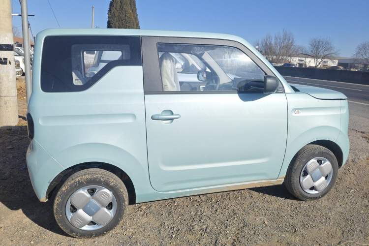 Used  Panda 2024 Panda Mini 200km Endurance Bear
