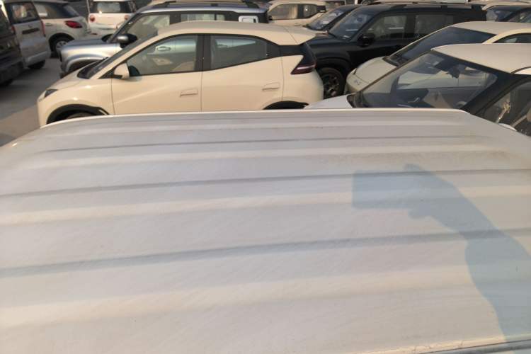 Used  Panda 2024 Panda Mini 200km Endurance Bear
