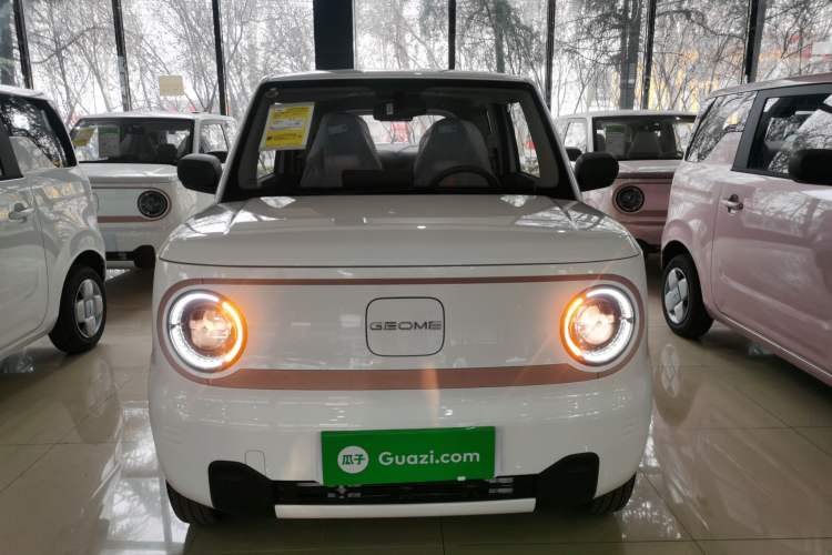 Used  Panda 2024 Panda Mini 200km Endurance Bear
