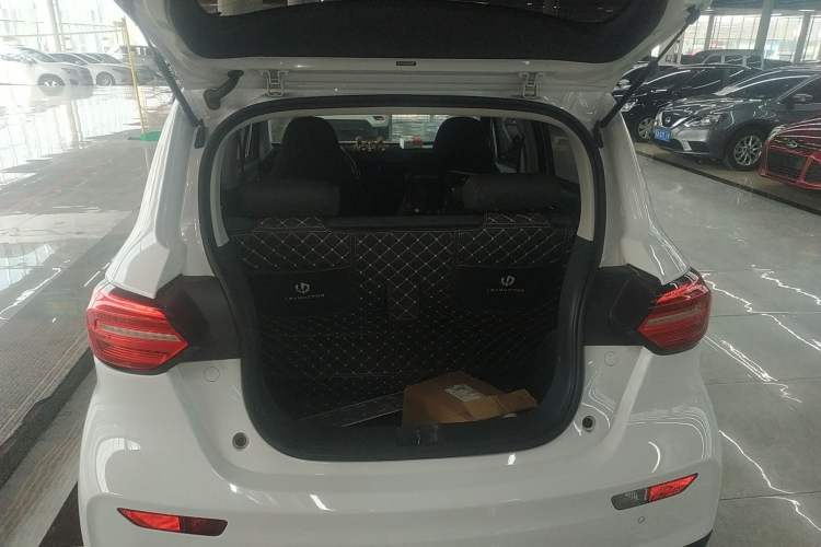 Used Leapmotor T03 2021 400 Micro-Sugar Version
