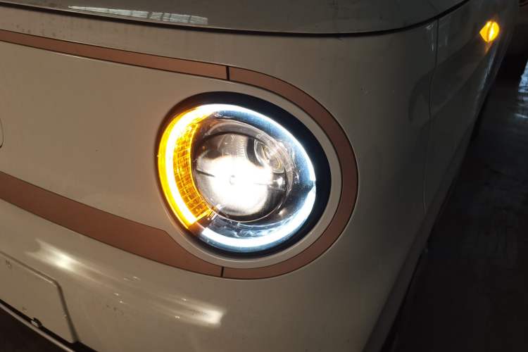 Used  Panda 2024 Panda Mini 200km Endurance Bear
