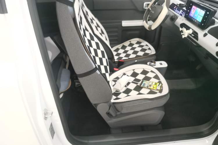 Used  Panda 2023 Panda Mini 200km Endurance Bear
