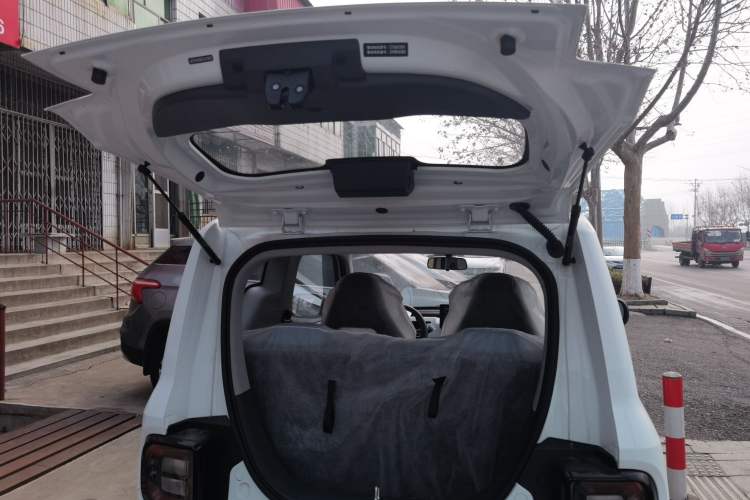 Used  Panda 2024 Panda Mini 200km Endurance Bear
