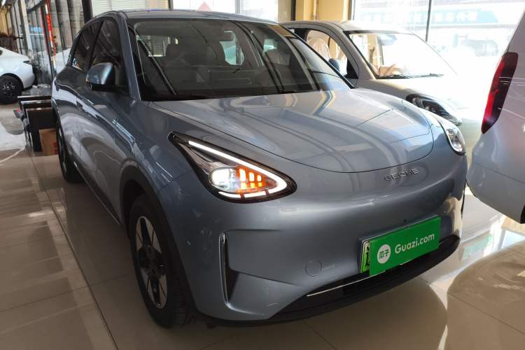 Used  Geome 2025 310km Dream Edition
