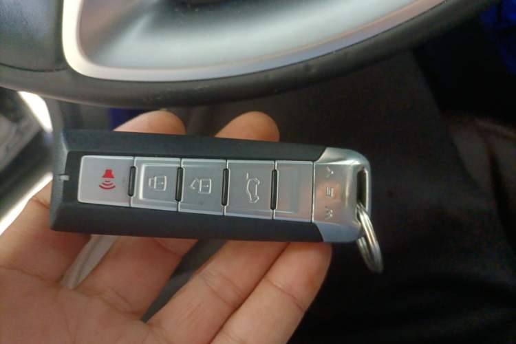 Used Wey VV6 2021 2.0T Two-Wheel Drive Smart Protection+
