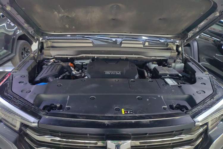 Used Tank 400 New Energy 2023 Hi4-T Super Edition
