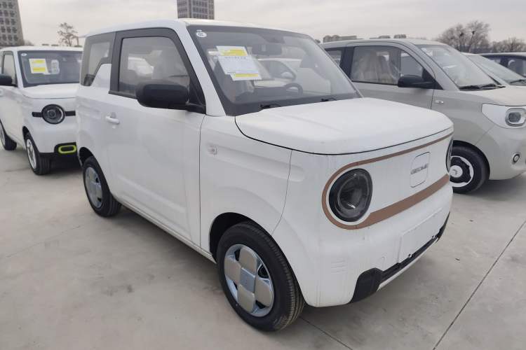 Used  Panda 2024 Panda Mini 200km Endurance Bear
