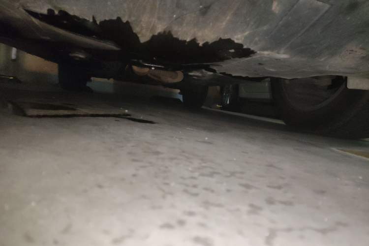 Used GAC Trumpchi GS8 2017 320T Four-Wheel Drive Luxury Smart Connectivity Version (7 Seats)
