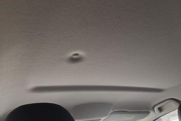 Used Great Wall Poer 2021 2.0T Commercial Version Manual Diesel Two-Wheel Drive Elite Long-Box GW4D20M