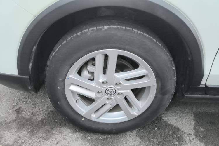 Used Venucia T60EV 2020 AI Enjoyment Model
