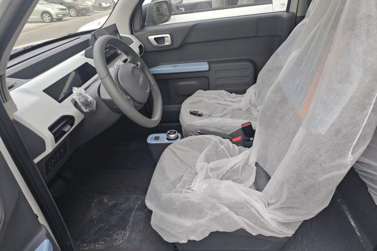 Used  Panda 2024 Panda Mini 200km Endurance Bear