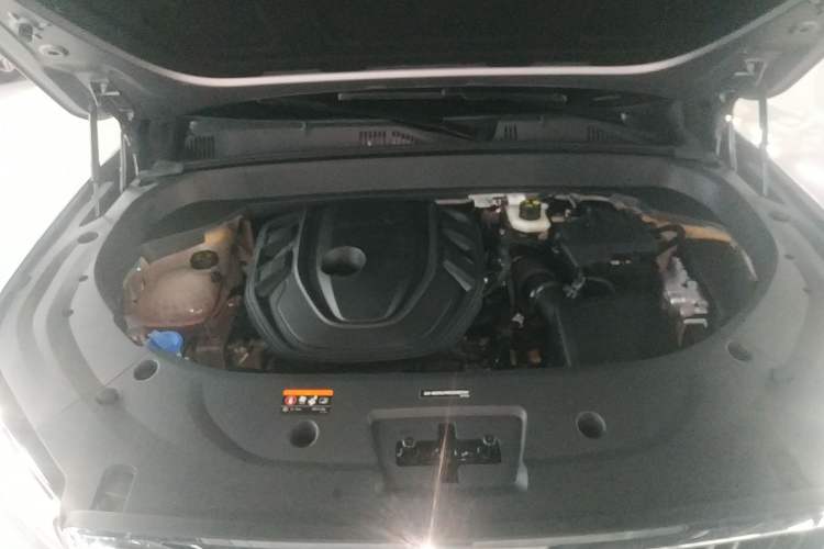 Used Geely Auto Monjaro L 2021 2.0TD DCT EVO Two-Wheel Drive Prestige Version
