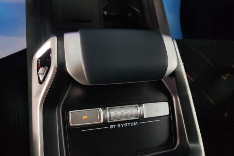 Used  G318 2025 Worry-Free Adventure Edition Four-Wheel Drive Secret Realm Version