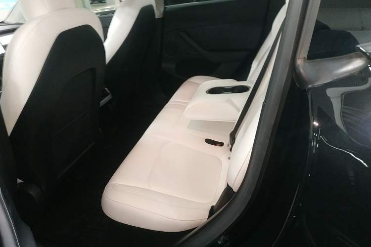 Used Tesla Model Y 2021 Standard Range Rear-Wheel Drive Version