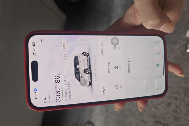 Used ORA White Cat 2020 360 km Luxury Version
