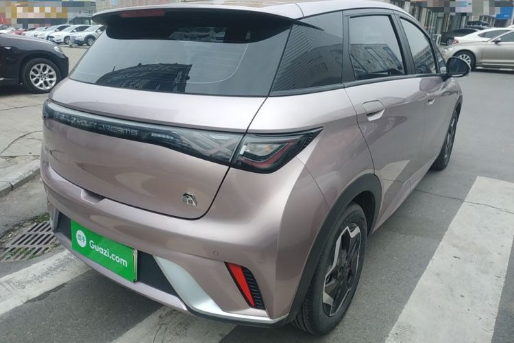 Used BYD Dolphin 2021 405 km Free Version