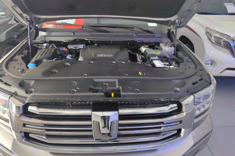 Used Tank 500 New Energy 2023 Hi4-T
