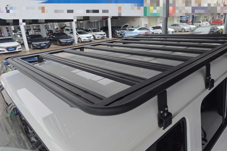 Used  T01 2024 2.0T Mechanic
