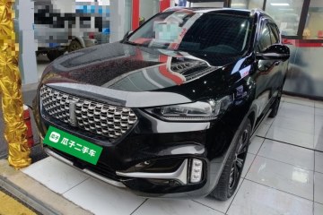 Used Wey VV6 2021 2.0T Two-Wheel Drive Smart Protection+