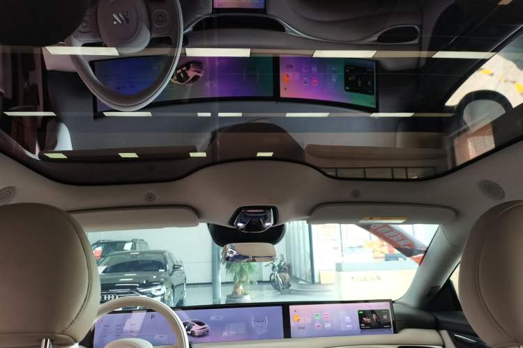 Used  L6 2024 Max Long-Range Version
