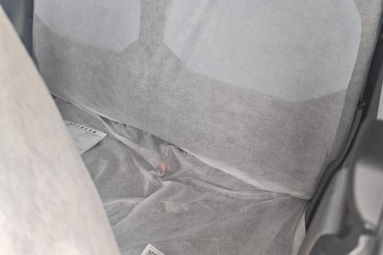 Used  Panda 2024 Panda Mini 200km Endurance Bear
